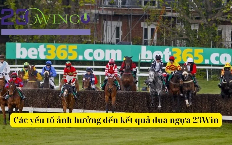 Các yếu tố ảnh hưởng đến kết quả đua ngựa 23Win