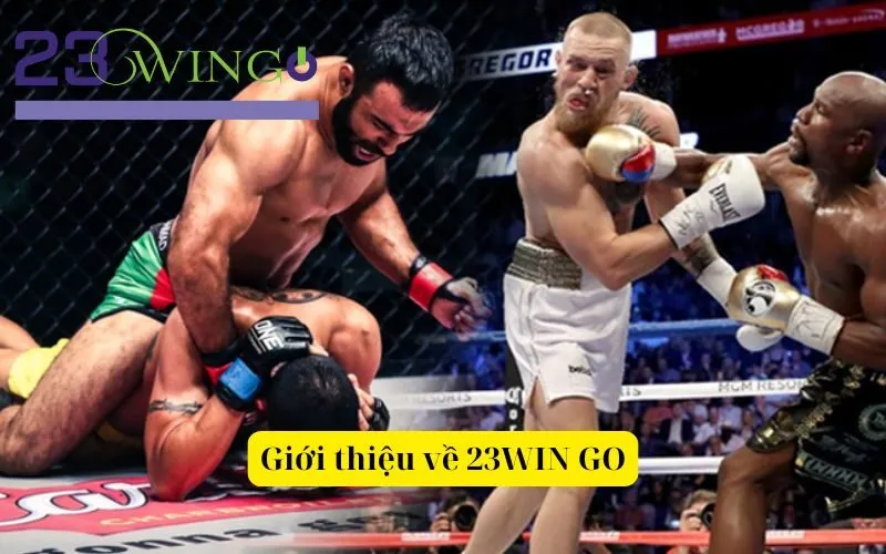 Giới thiệu về 23WIN GO