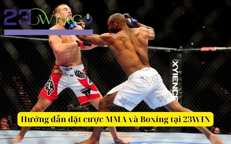 Hướng dẫn đặt cược MMA và Boxing tại 23WIN