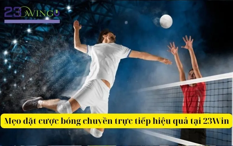 Mẹo đặt cược bóng chuyền trực tiếp hiệu quả tại 23Win