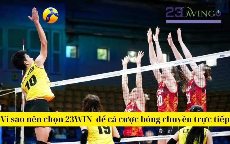 Vì sao nên chọn 23WIN  để cá cược bóng chuyền trực tiếp